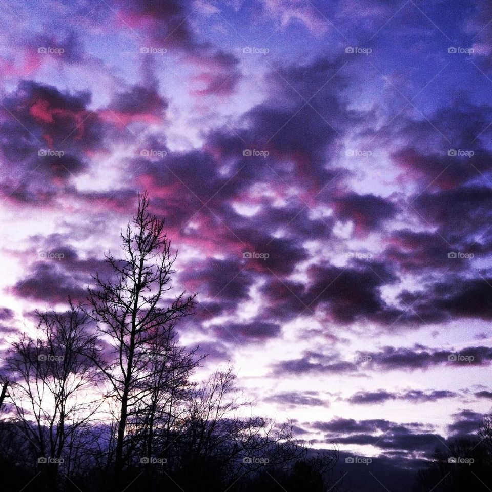 Purple skies