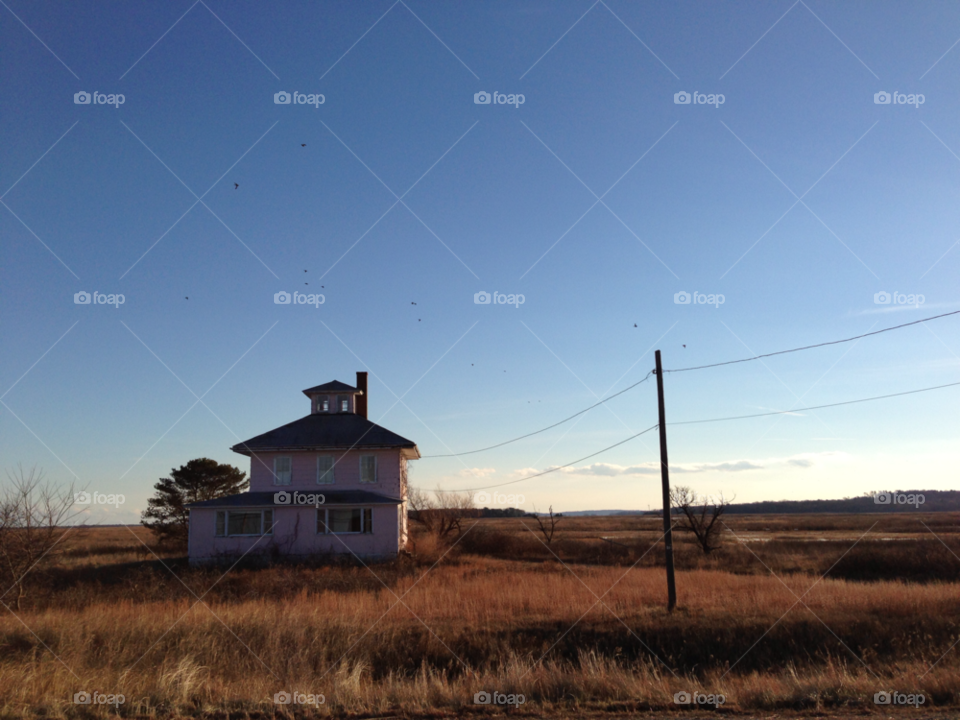 field blue sky swamp telephone pole by bobmanley