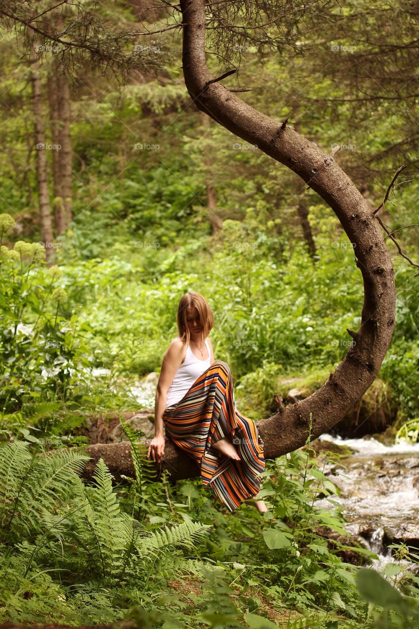 Semicircular tree trunk in the mountains above the river
