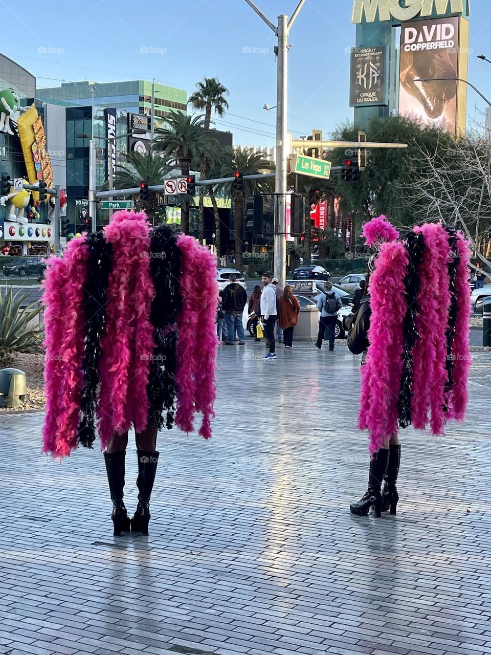 Girls in costume with pink feathers on the street 