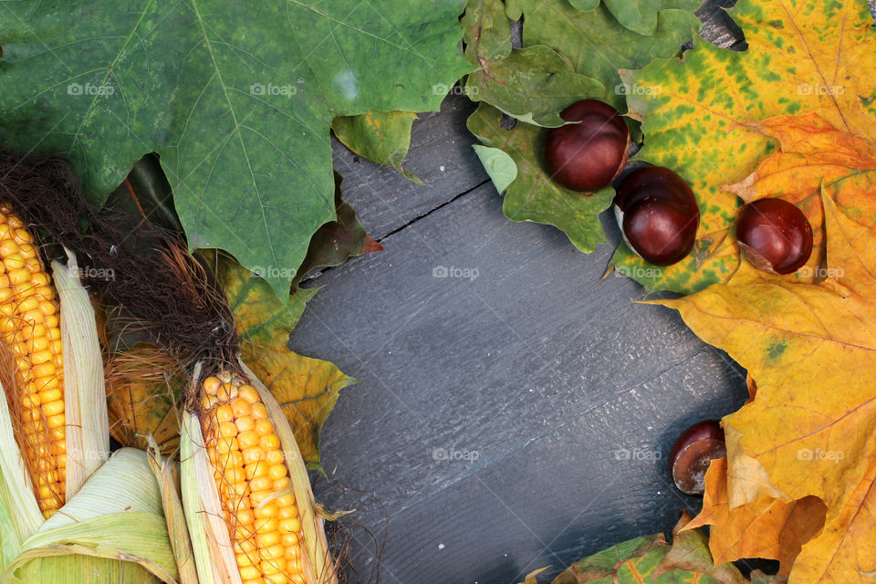 Vegetables, Halloween, pumpkin, corn, harvest, fertility, agriculture, food, cones, forest, birch branches