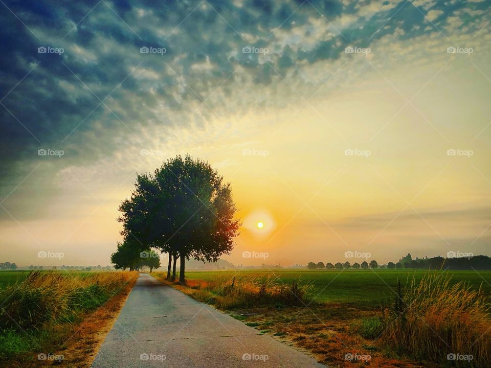 Dark Fluffy clouds being chased away by the sunrise over a rural landscape with a dirt road and some lonely trees