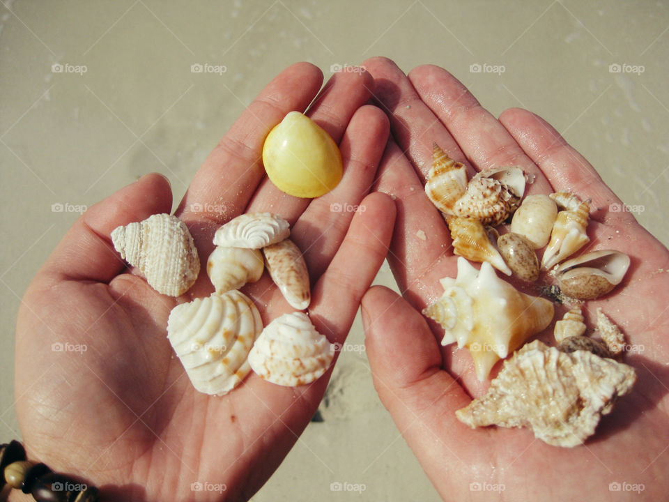Tropical shells