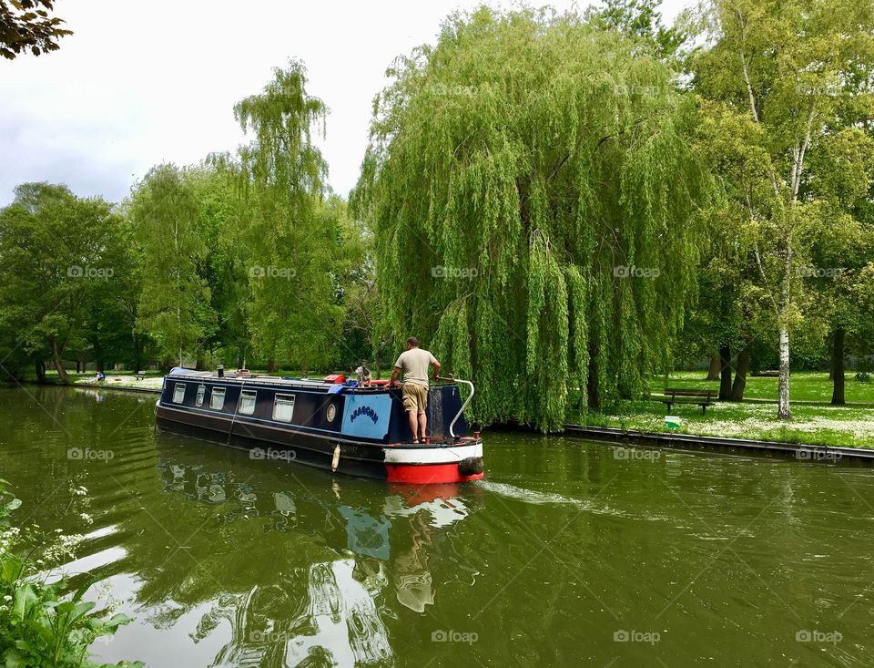 Berkhamsted Willow Trees along the canal towpath ... a canal longboat chugging past 