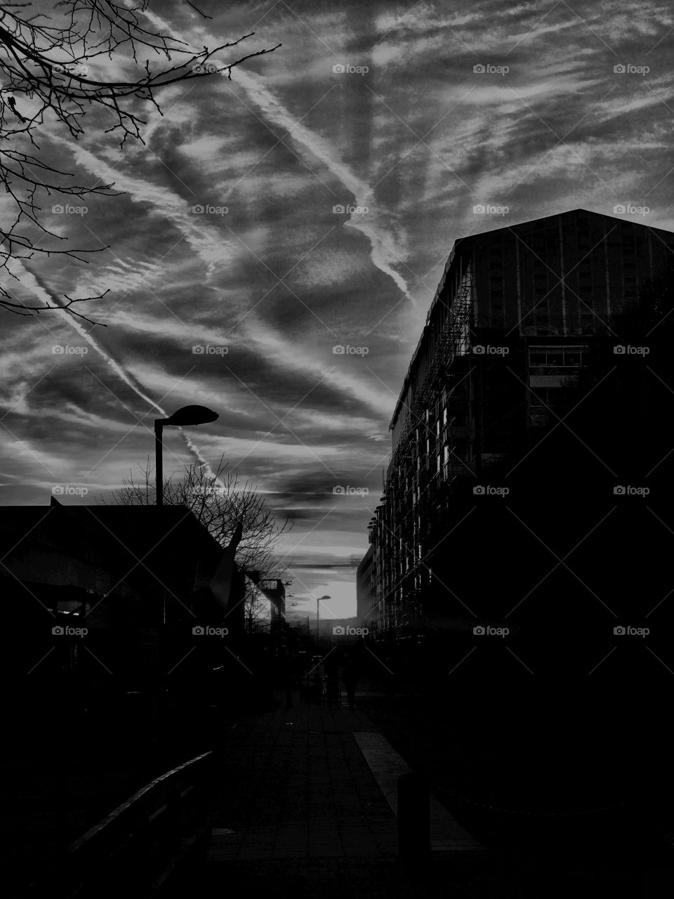 afternoon in late fall