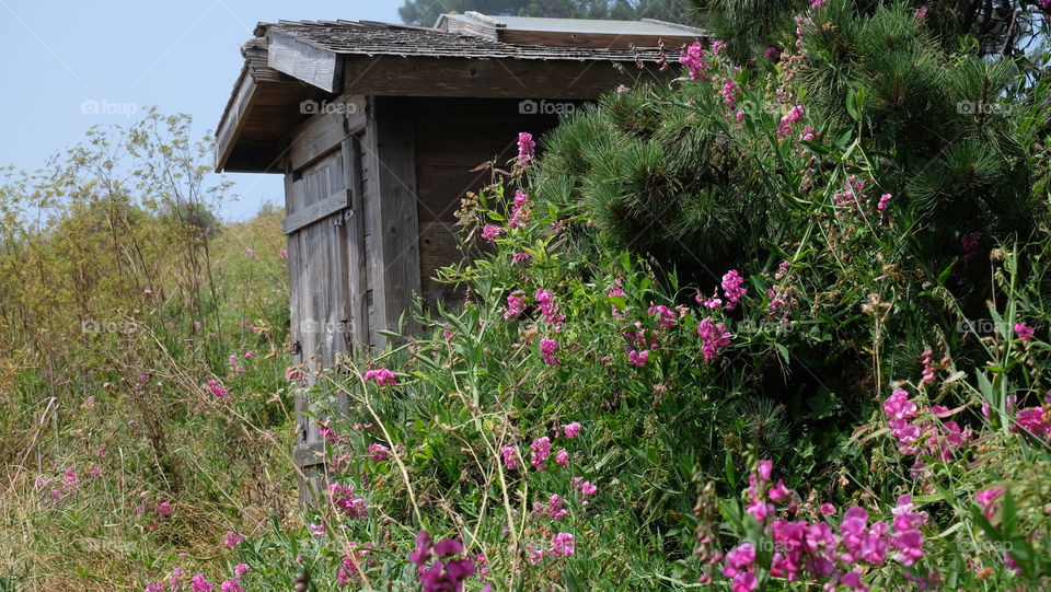 Rustic building