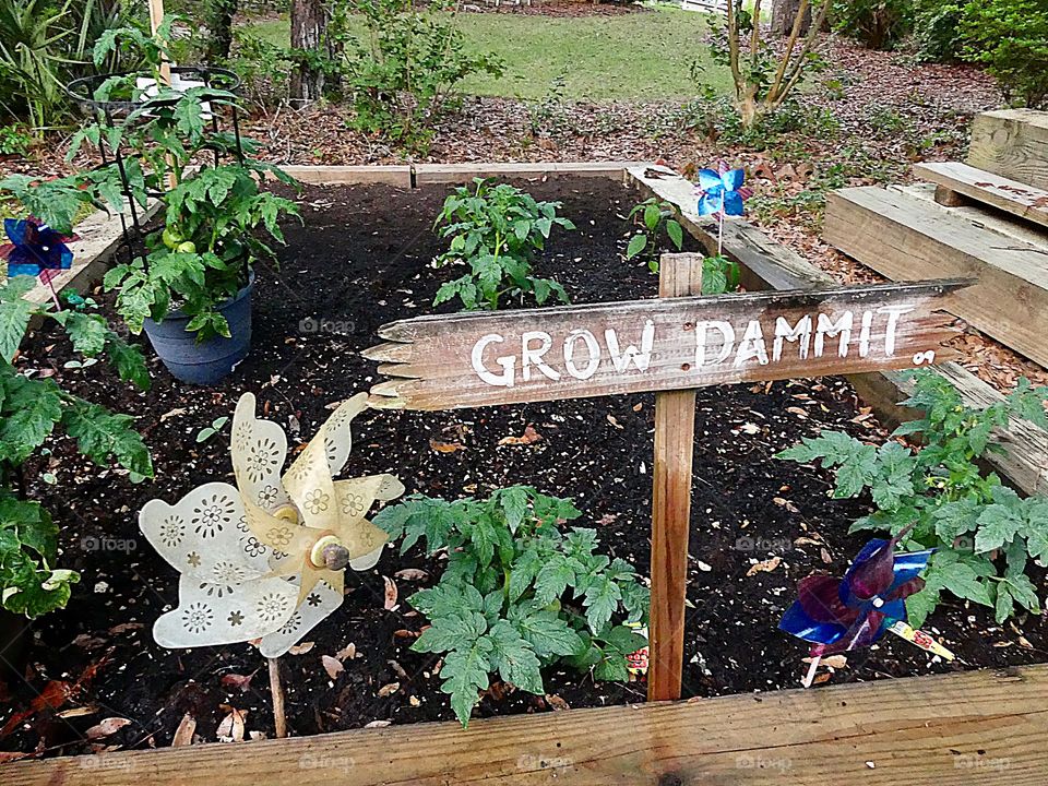 Grow Dammit visual sign to remind me to watch my garden thrive during the hot and humid growing season
