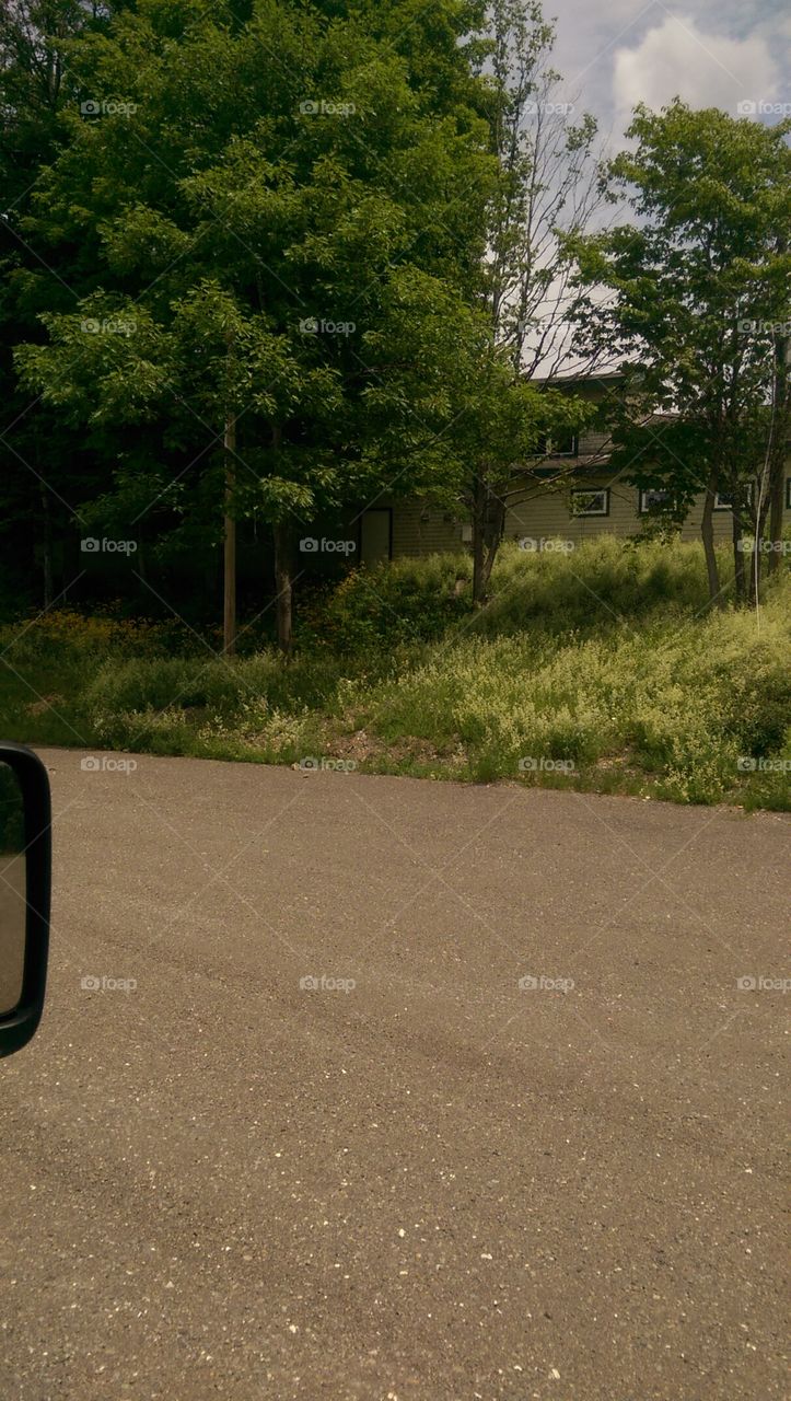 Landscape, Road, Tree, No Person, Environment