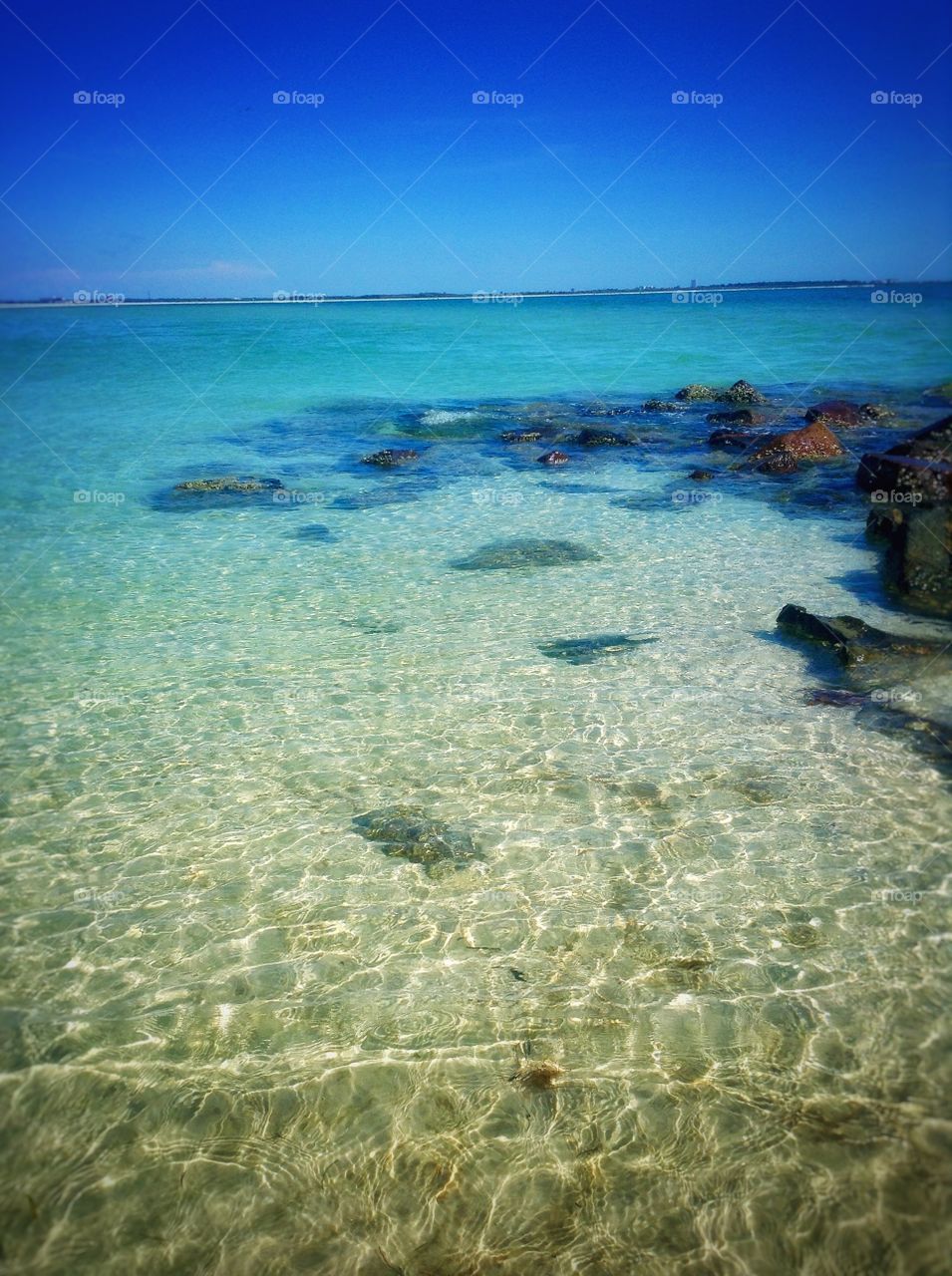 Along the rocky shore...