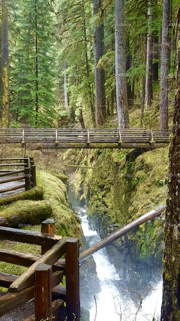 Bridge over river flowing from Sol Duc Falls