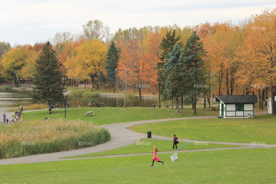 park in autumn. taken in montreal 2012