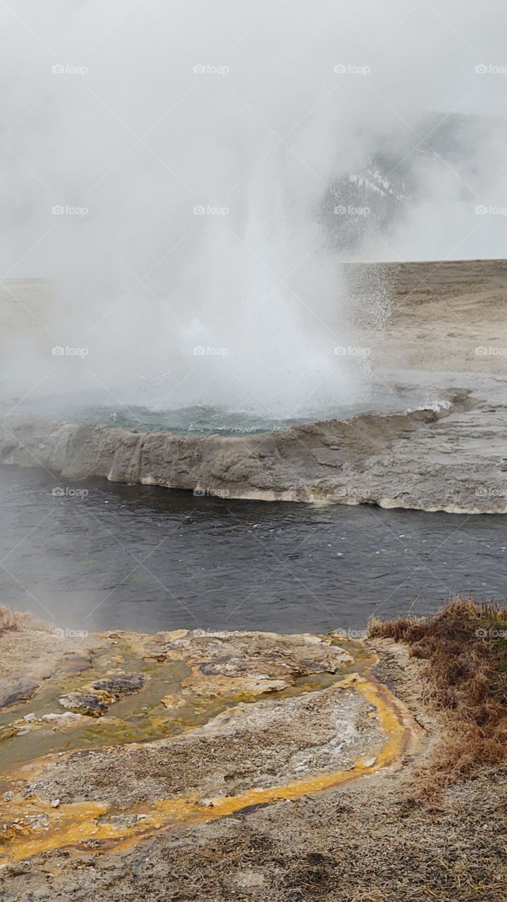 Yellowstone National Park