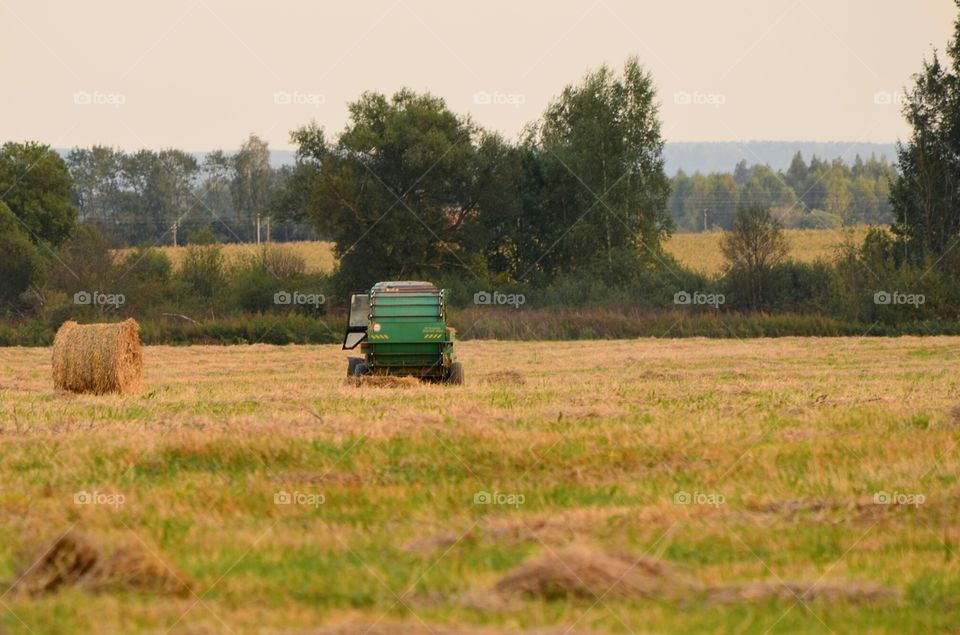 harvesting of straw