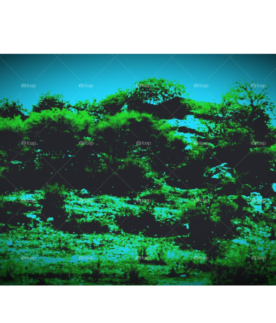 beautiful mountain image