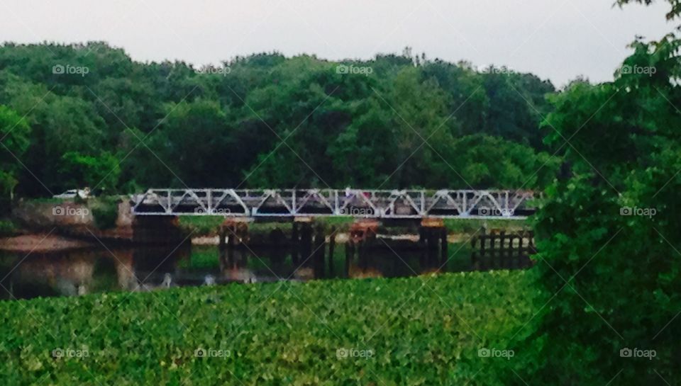 Bridge over peaceful water