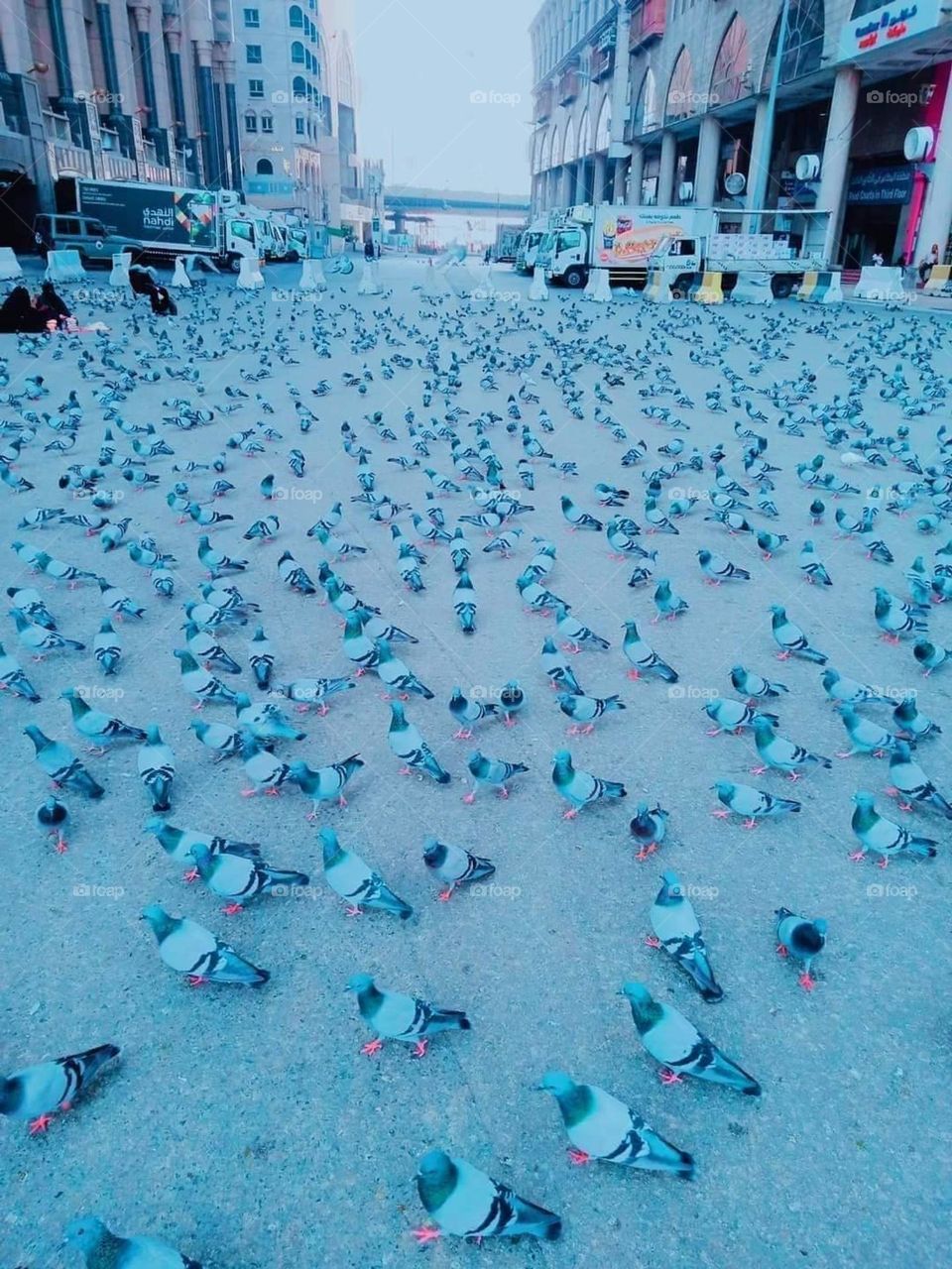 In Mecca, safety and security