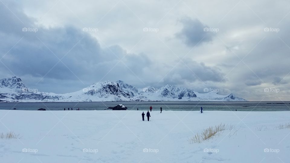 Lofoten beach in the winter