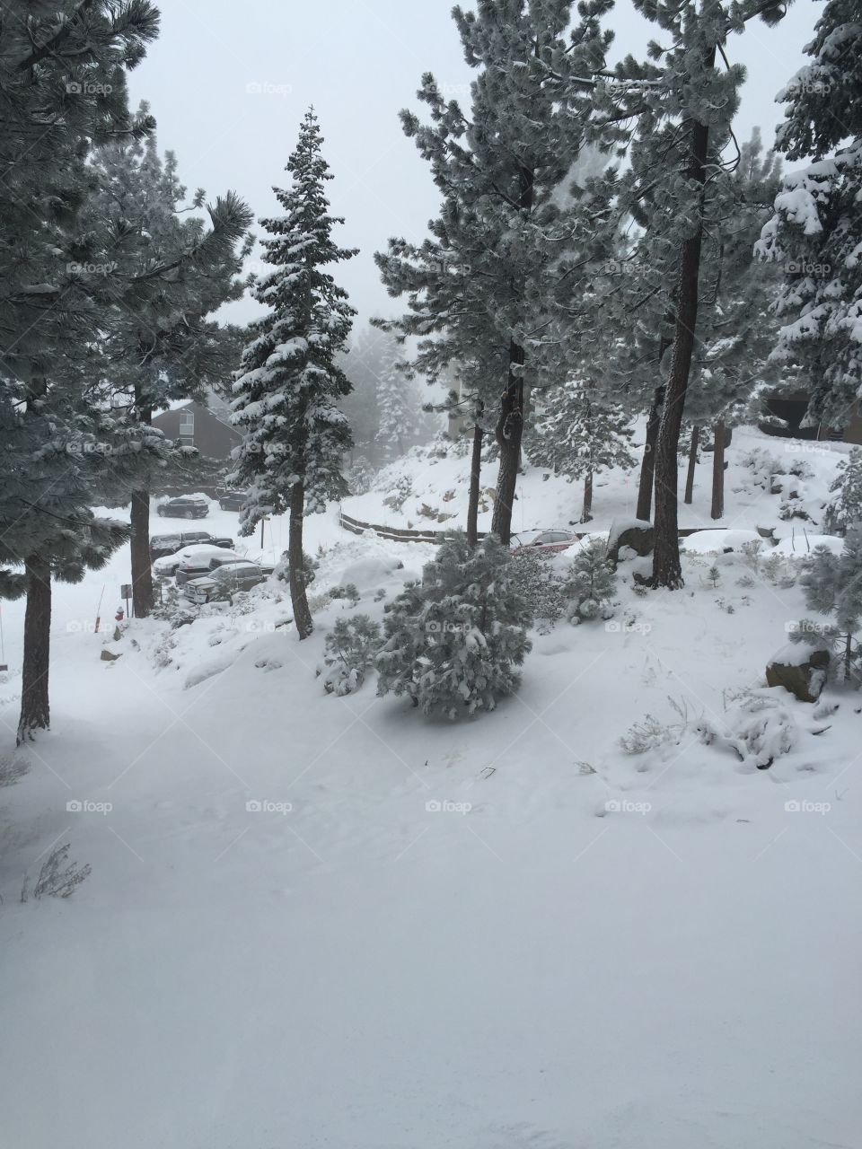 Snow covered sledding hill