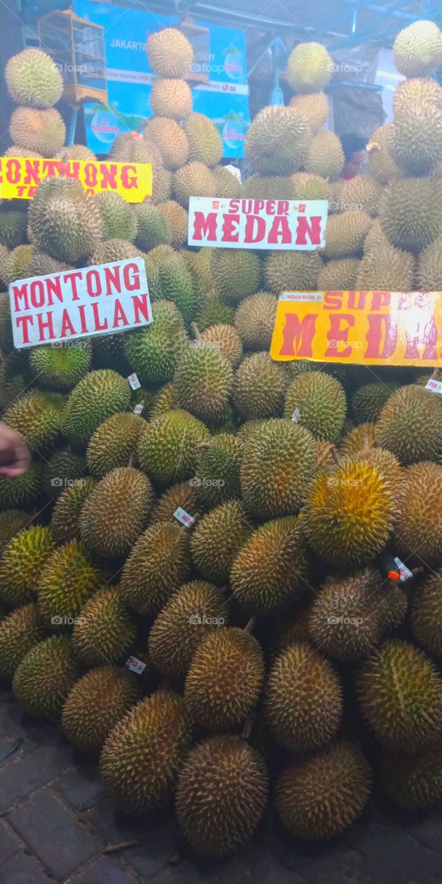 pesta durian