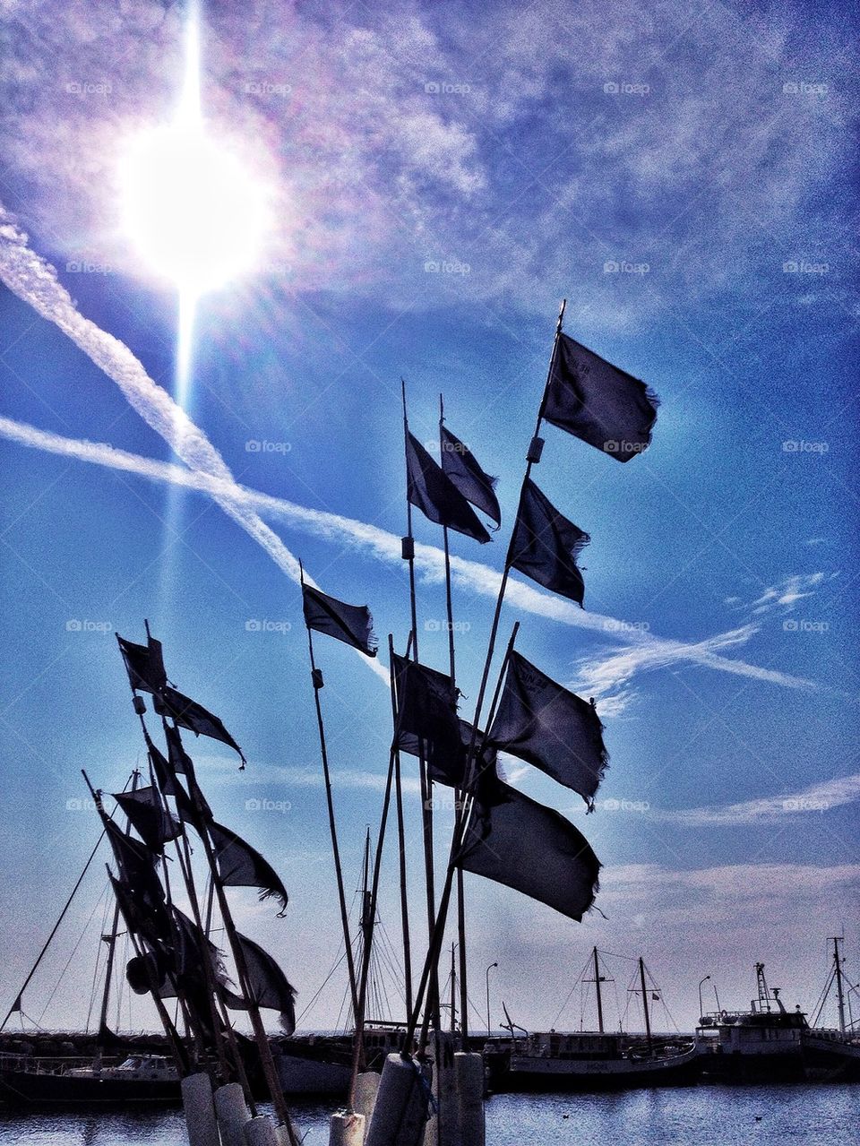 Flags in harbour