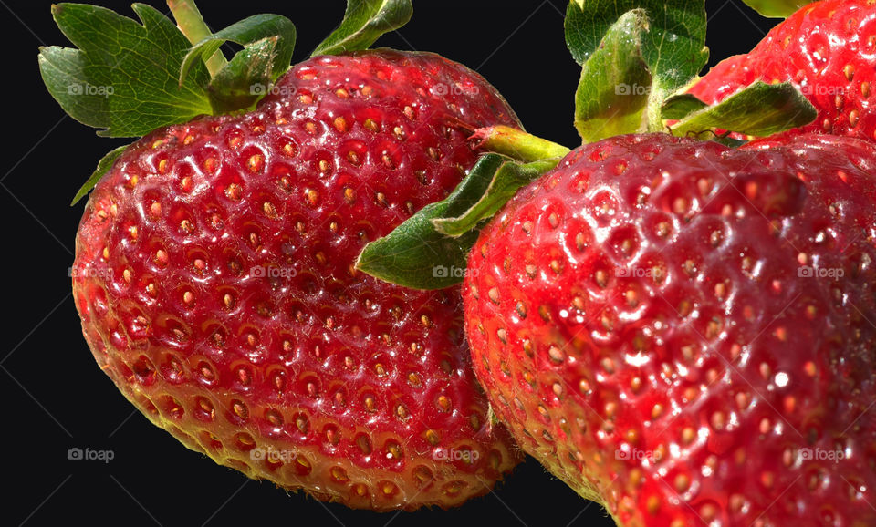 nature macro closeup strawberry by resnikoffdavid