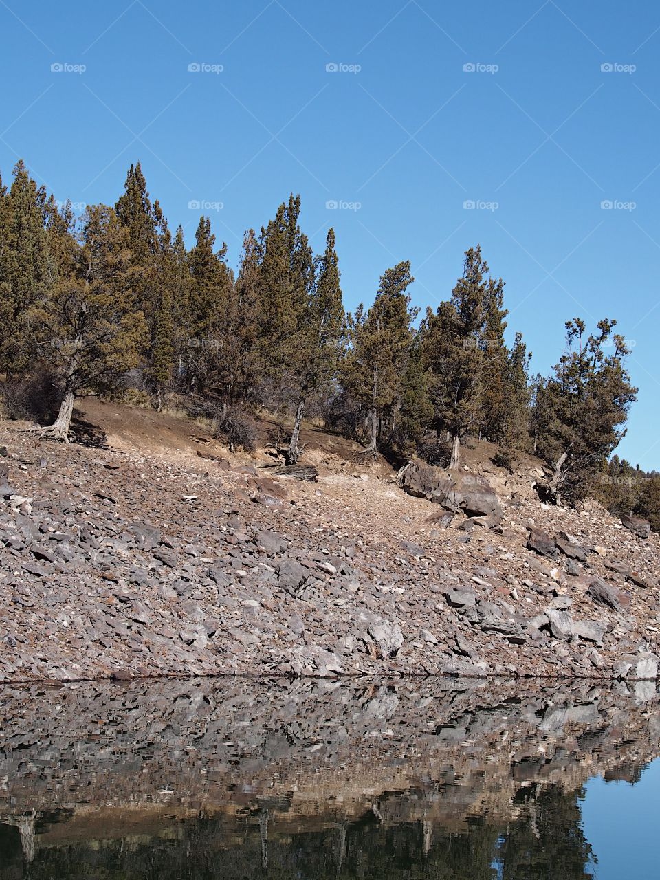 Trees and rocks on the steep slopes of the shores of Ochoco Reservoir in Central Oregon reflect in the glasslike waters on a beautiful sunny spring day with clear blue skies. 