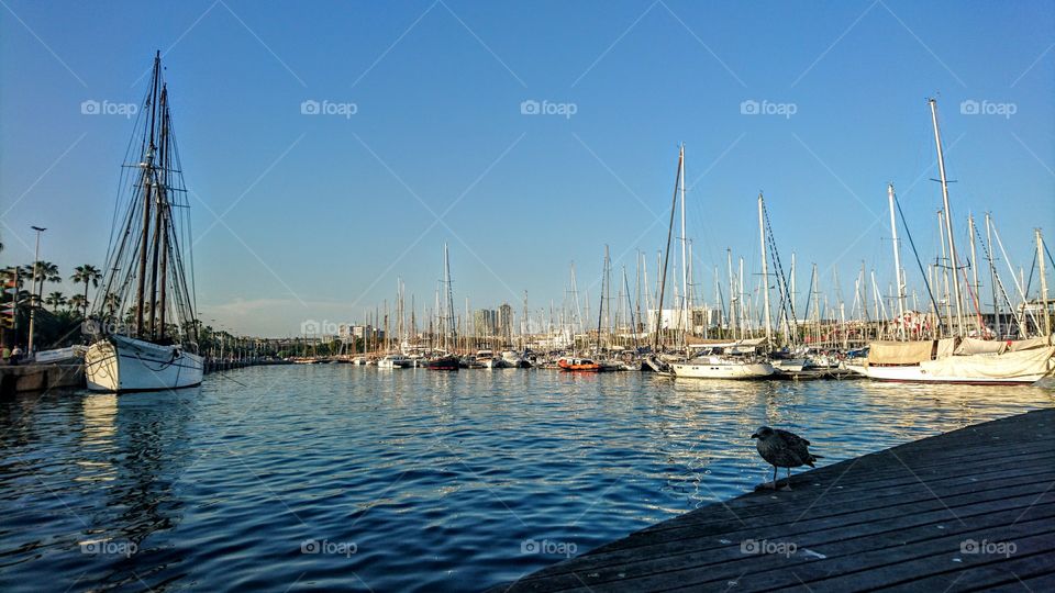 smal port of Barcelona 