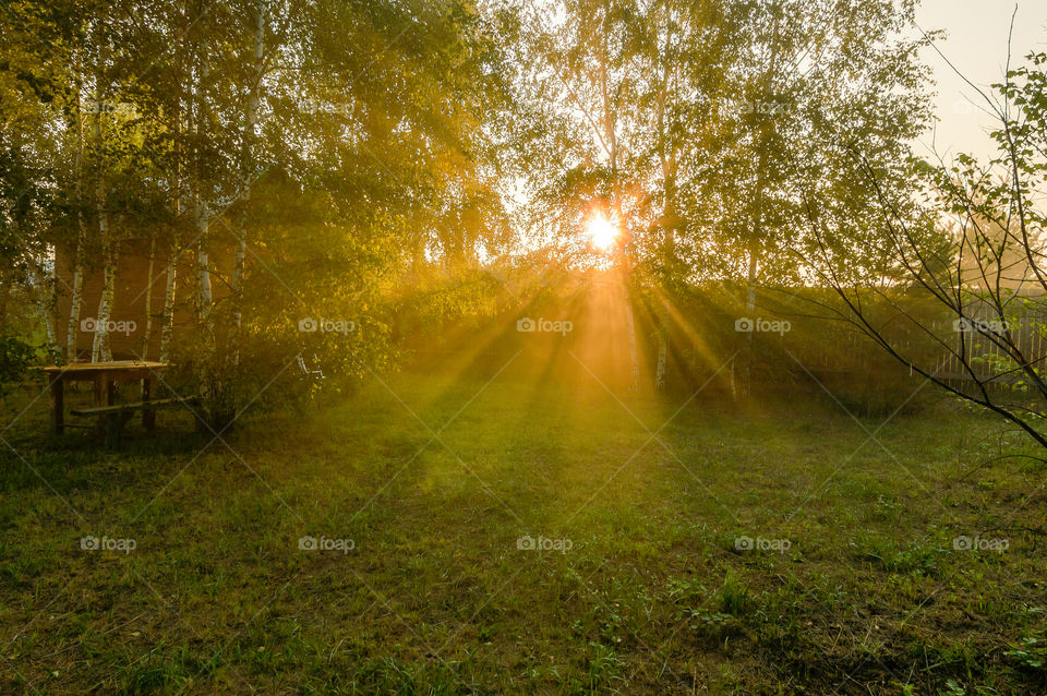 Sunrise in the foggy morning