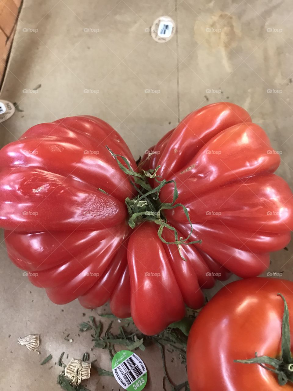 Fantastic tomato