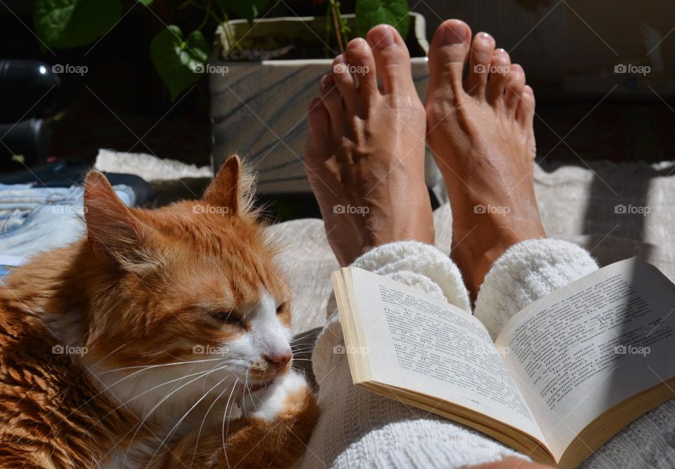 cat and female legs book reading