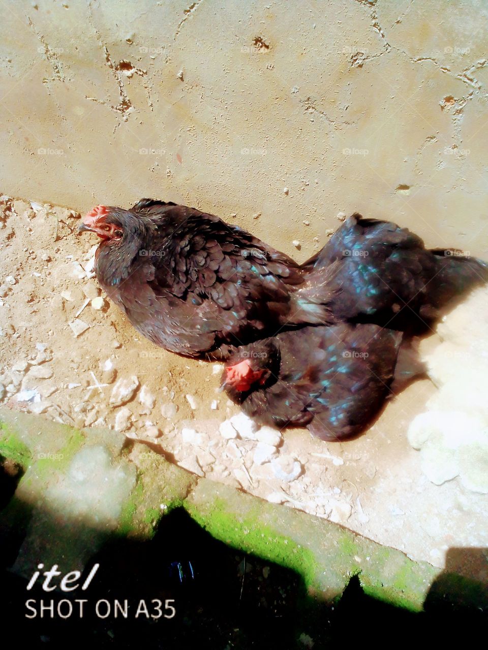 two layers using sand to bath.