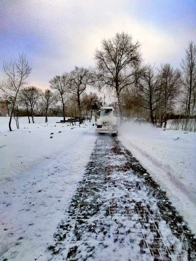 Winter