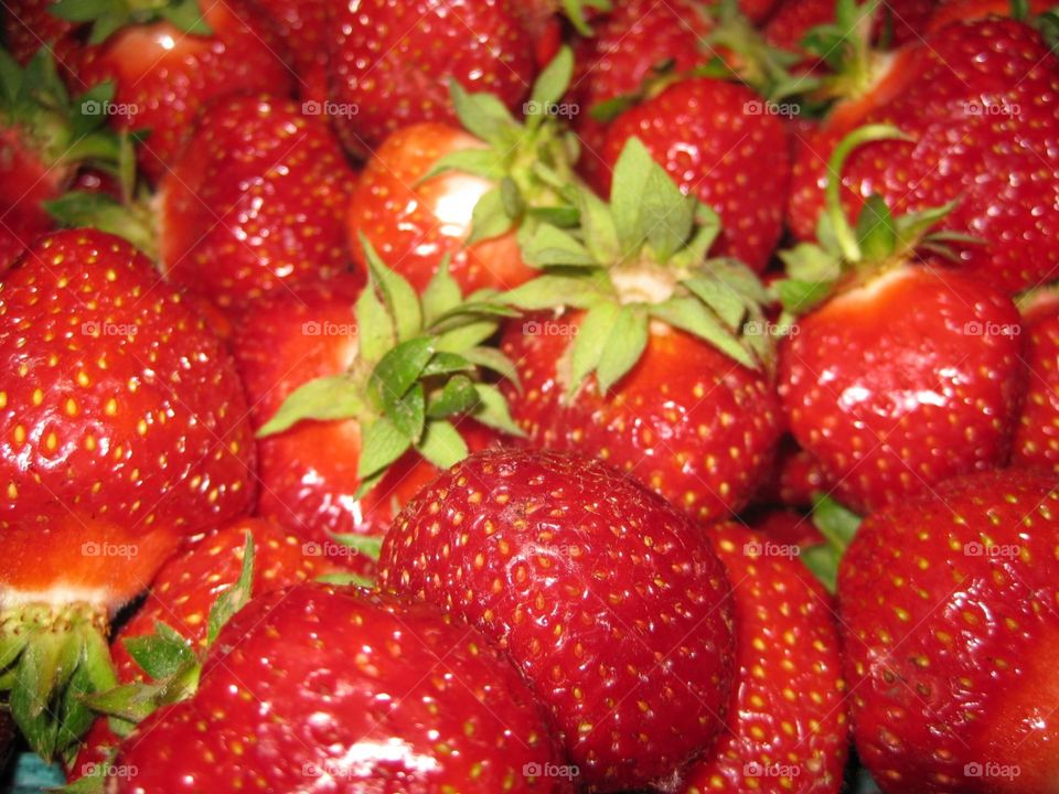 strawberries. june in Oregon