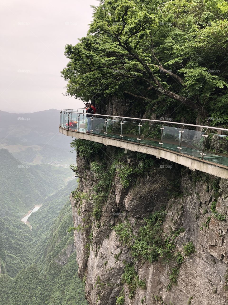 Mountain edge Glass walkway 