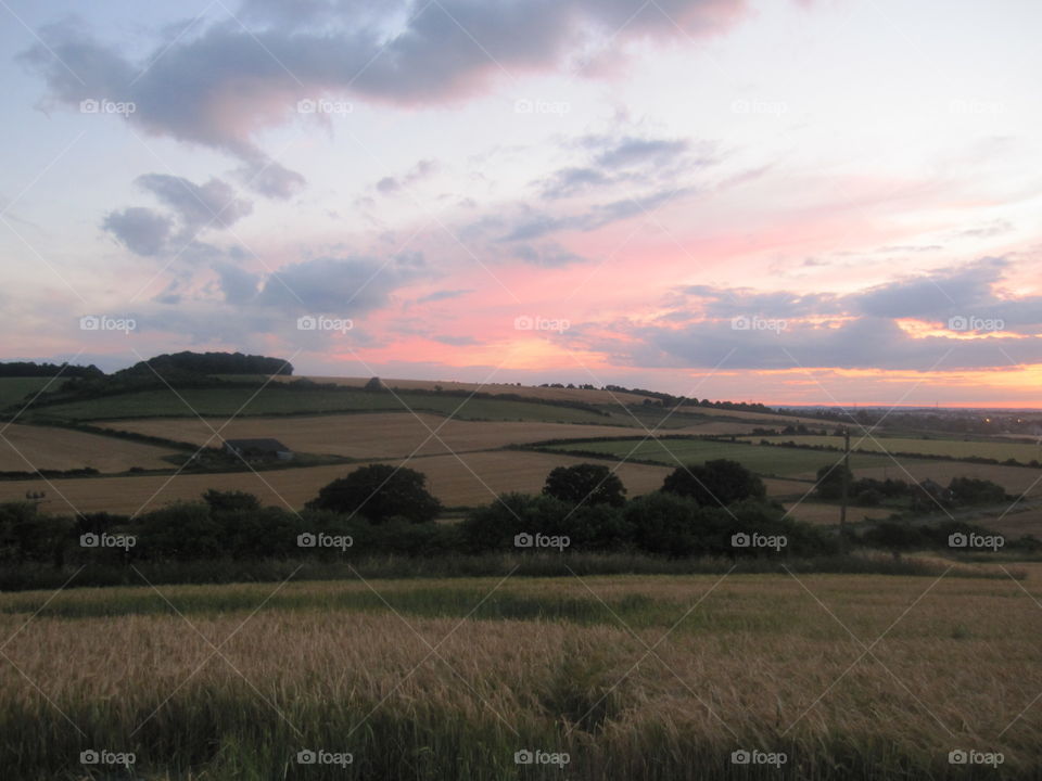 Summer Evening