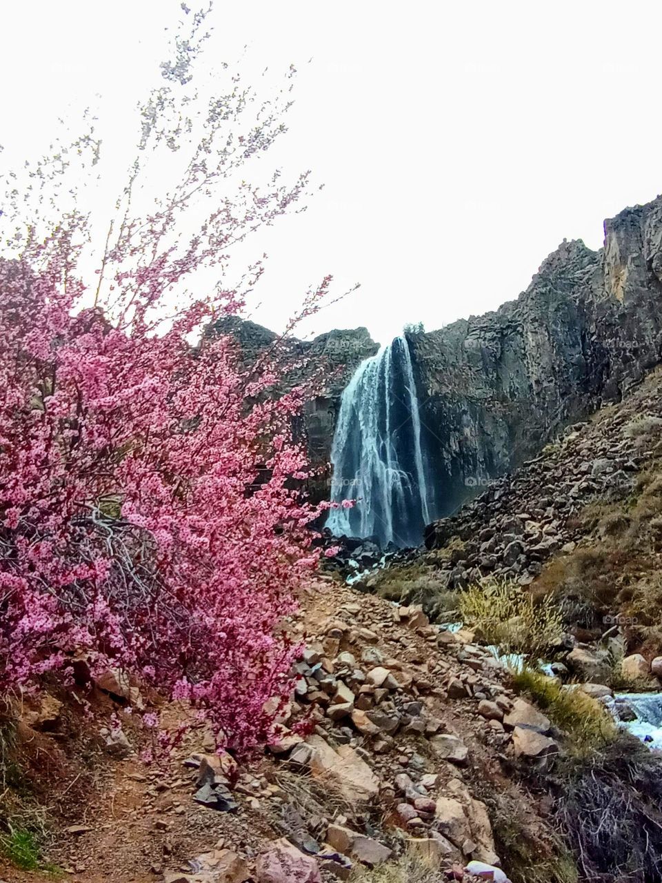 Cascada La Fragua, Norte Neuquino