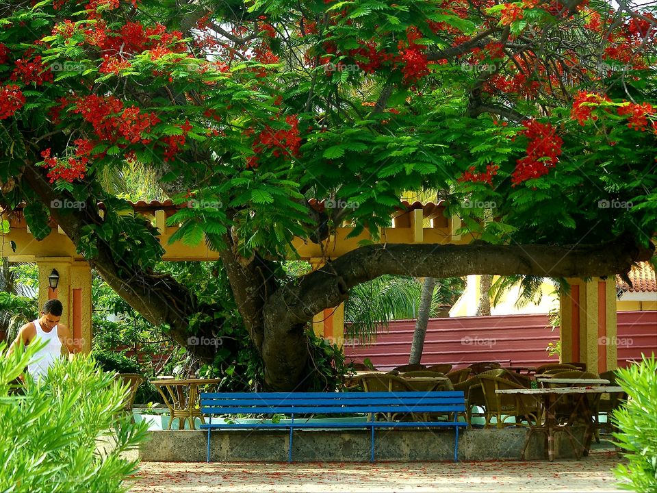 Varadero, Cuba