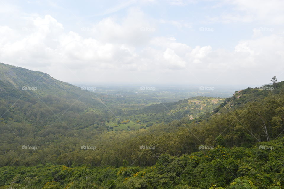 Neches world 🌍 creativity