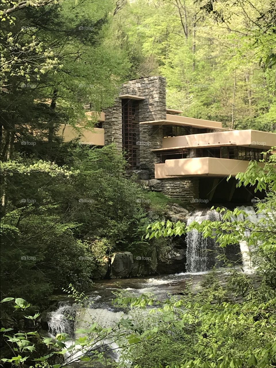 Falling water #house 