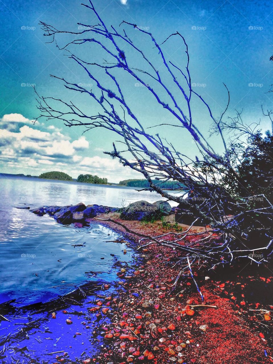 Bathing day in Östa