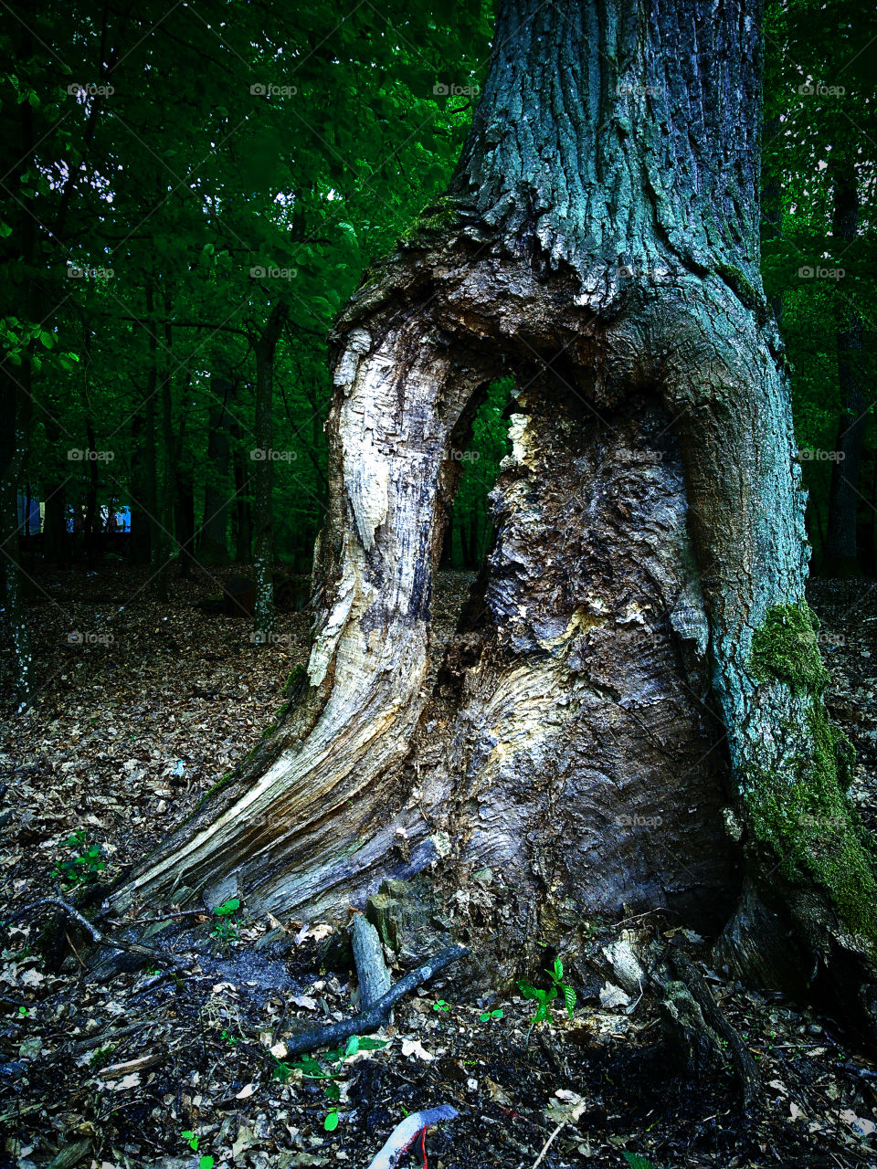 жить несмотря ниначто....