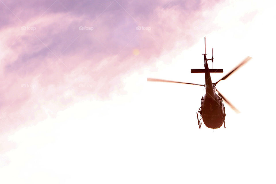 Eagle at sunset - Sao Paulo Police