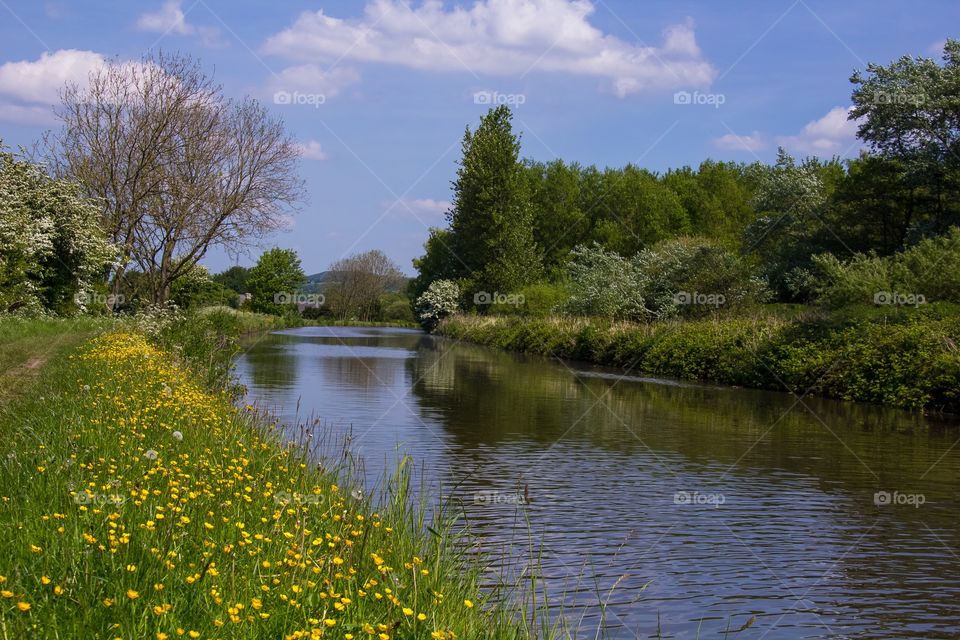 Canals and waterways spring reflections beauty in nature