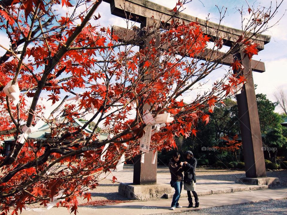 A red tree filled with wishes