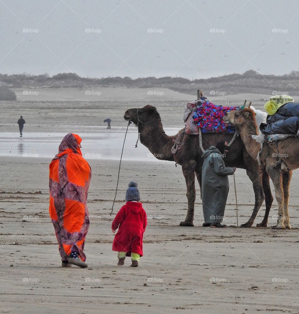 Greeting the camels