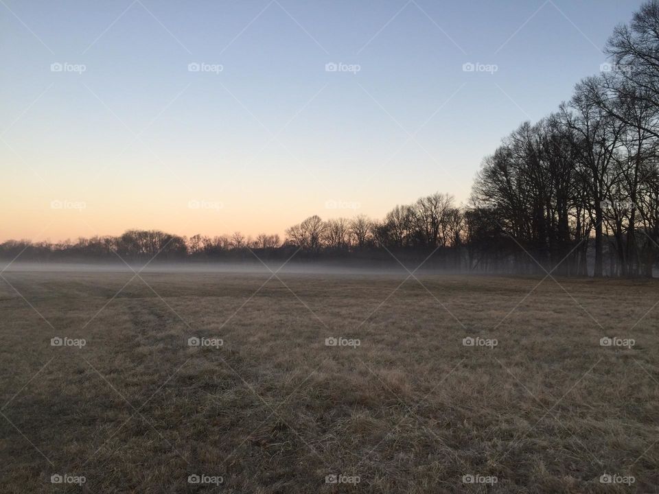 Misty January sunrise on the farm cool tree line horizon 