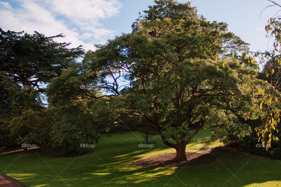 royal botanic garden edinburgh