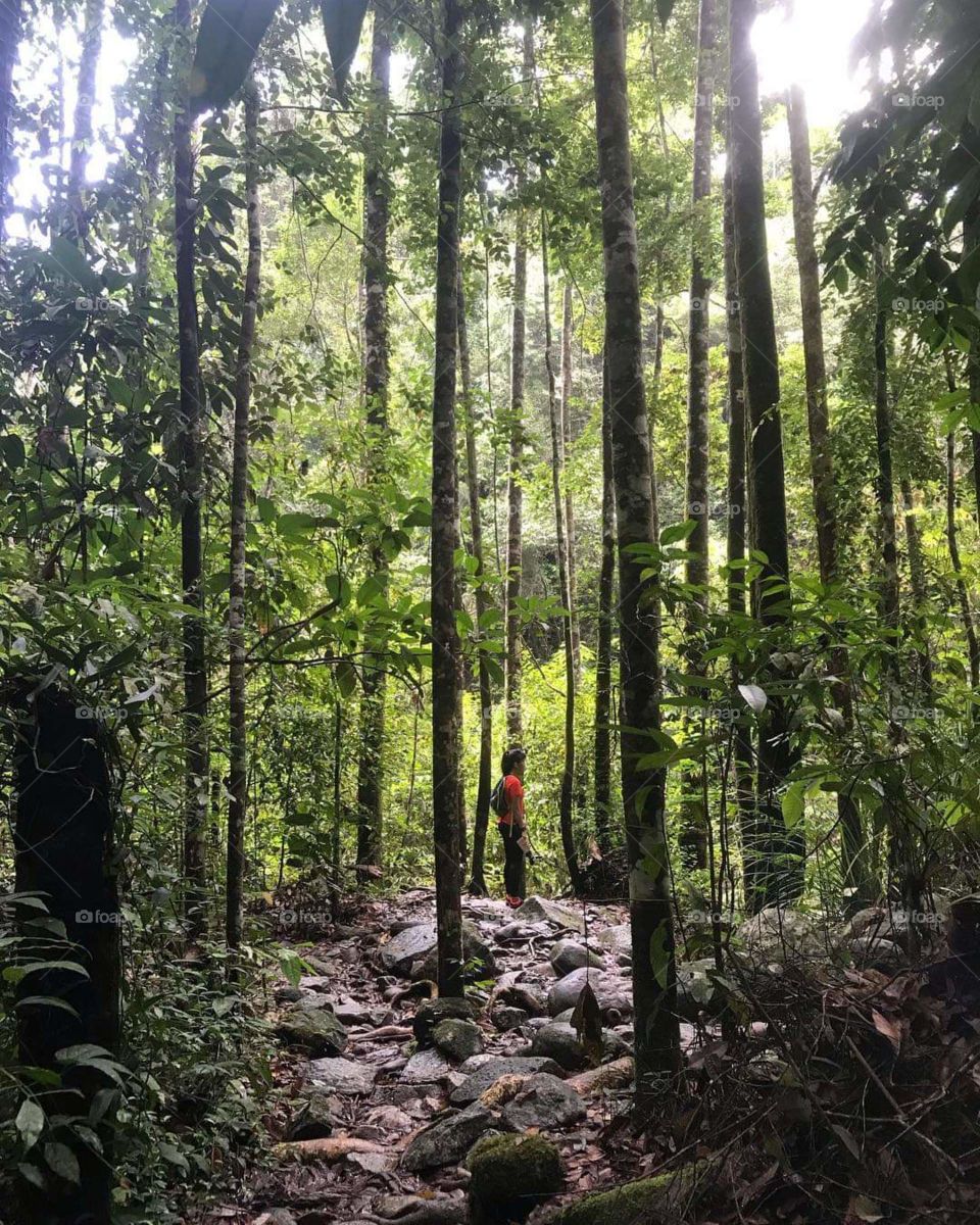 me and nature separated never.