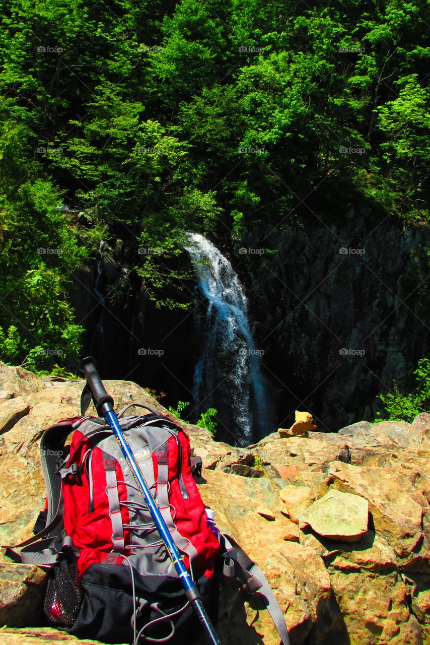 Waterfall in forest