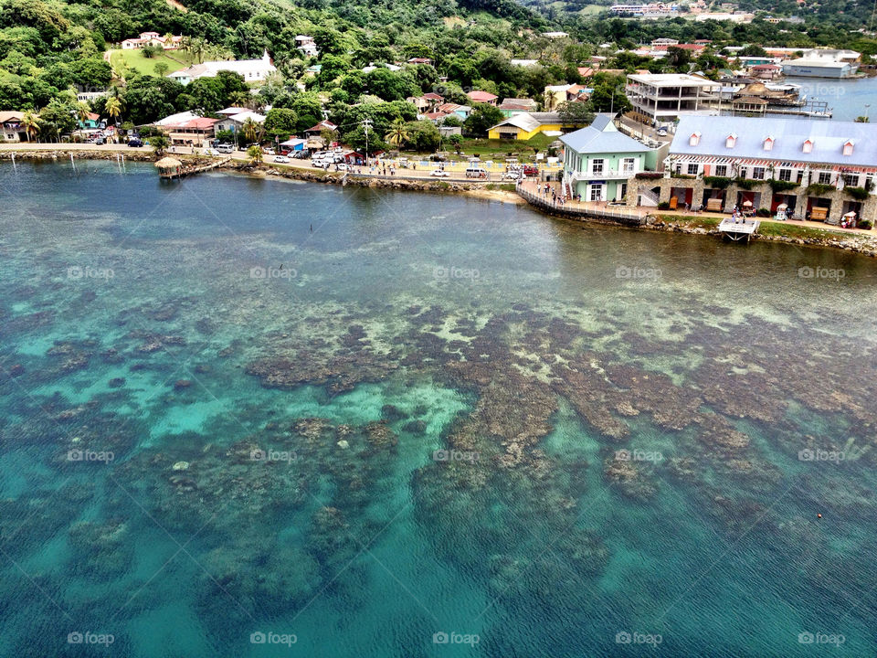 caribbean reef haiti by BastianCaine